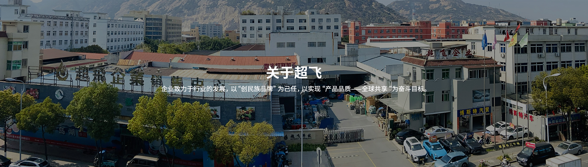 衛生級止回閥,快裝閥門廠家